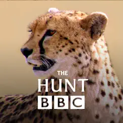 the hunt - bbc earth - natural history interactive tv series logo, reviews