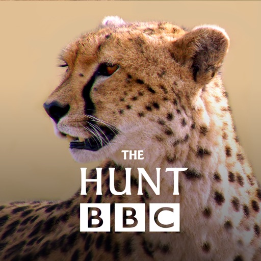 The Hunt - BBC Earth - Natural History Interactive TV Series app reviews download