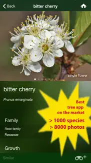 tree id usa - identify over 1000 of america's native species of trees, shrubs and bushes iphone images 2
