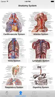human anatomy position iphone images 1