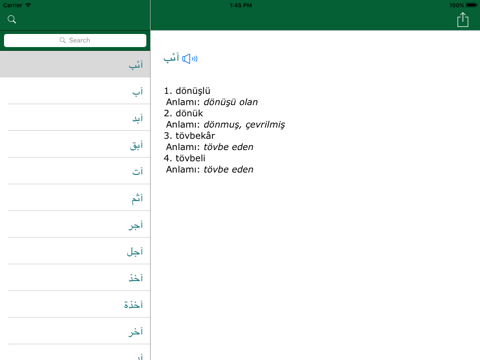 arabic turkish dictionary ipad images 1
