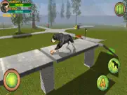 rottweiler dog life simulator ipad images 3