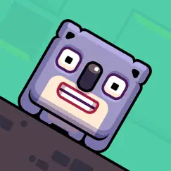 cube koala logo, reviews