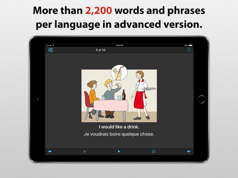 phrasebook - over 30 languages айпад изображения 2