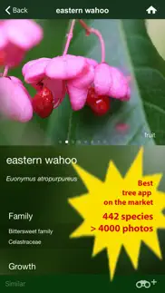 tree id canada - identify over 1000 native canadian species of trees, shrubs and bushes iphone images 2