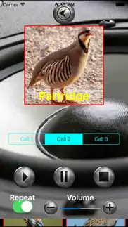 birds mimic iphone images 3