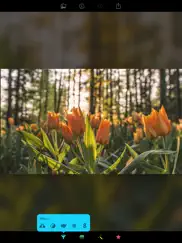 filters for iphone and ipad ipad images 2