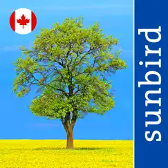 tree id canada - identify over 1000 native canadian species of trees, shrubs and bushes logo, reviews