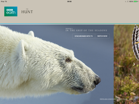 the hunt - bbc earth - natural history interactive tv series ipad images 1