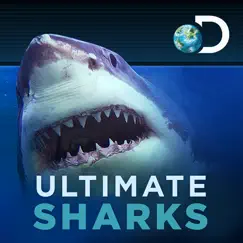 ultimate sharks free logo, reviews