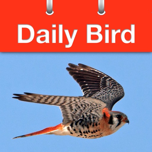 Daily Bird - the beautiful bird a day calendar app app reviews download