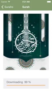 holy quran (koran) translation - listen to the arabic recitation of all suras and their english interpretation айфон картинки 2