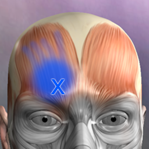 Muscle Trigger Point Anatomy app reviews download