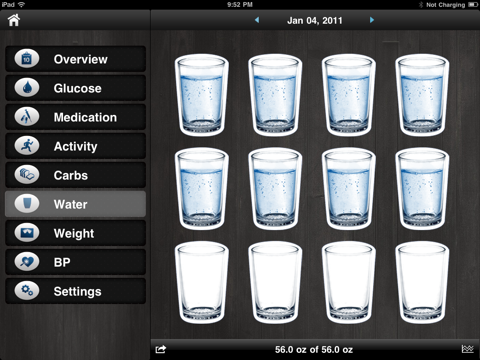 diabetes app lite - blood sugar control, glucose tracker and carb counter ipad images 4