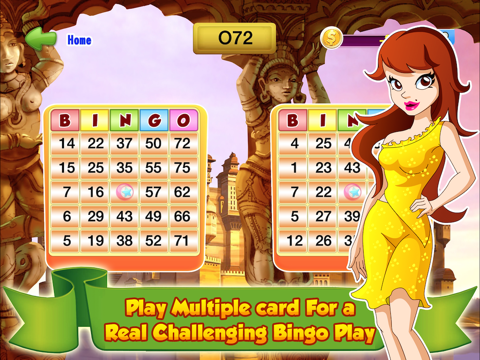 bingo master deluxe casino - hd free ipad images 2