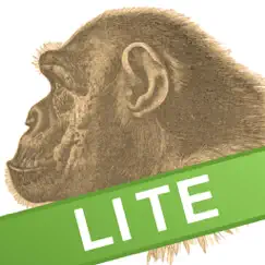 ape test lite logo, reviews