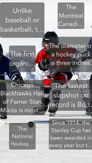 hockey trivia app iphone images 1