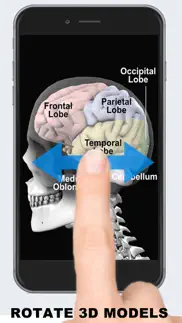 anatomy 3d - organs iphone capturas de pantalla 4