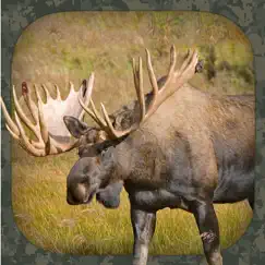moose hunting calls logo, reviews