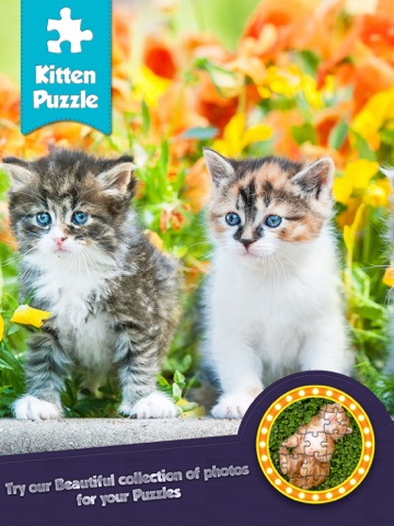 jigsaw cutest kitten ever puzzle puzz - play to enjoy ipad images 1