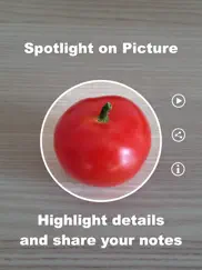 spotlight on picture iPad Captures Décran 1