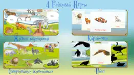 Вундеркинд - мир животных, познавательные игры с детьми айфон картинки 2