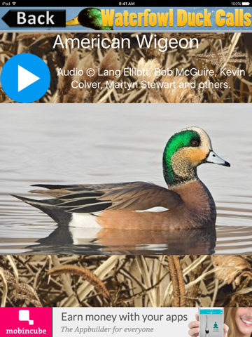 waterfowl duck calls ipad images 2