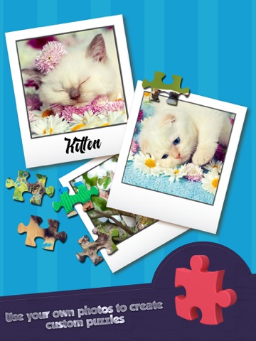 jigsaw cutest kitten ever puzzle puzz - play to enjoy ipad images 3