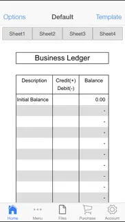 business ledger iphone images 2