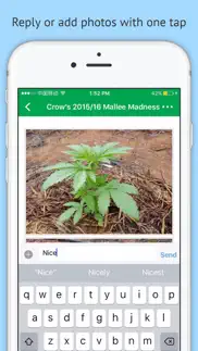 oz stoners cannabis community iphone capturas de pantalla 3