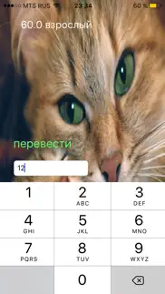 кошачий калькулятор айфон картинки 3