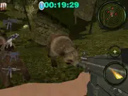 bear hunting shooting rampage hd ipad images 1