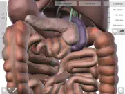 human anatomed ipad images 2