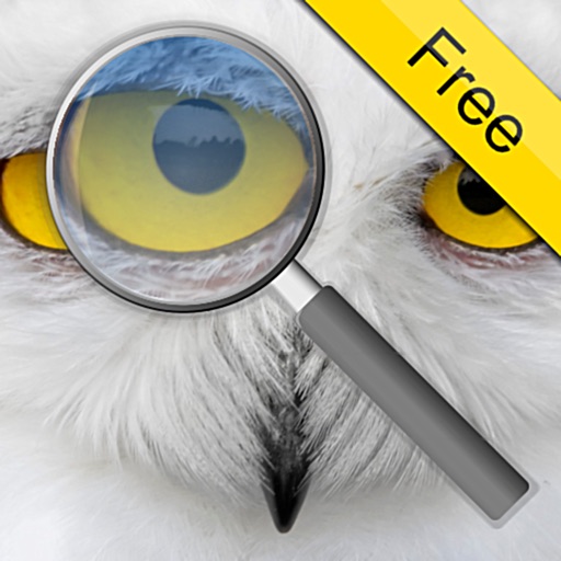 Photo Loupe Free app reviews download
