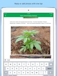 oz stoners cannabis community ipad capturas de pantalla 3
