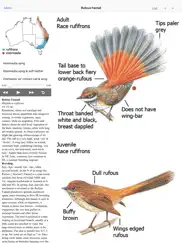 the michael morcombe and david stewart eguide to the birds of australia lite ipad images 1