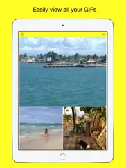 gifs viewer ipad images 1