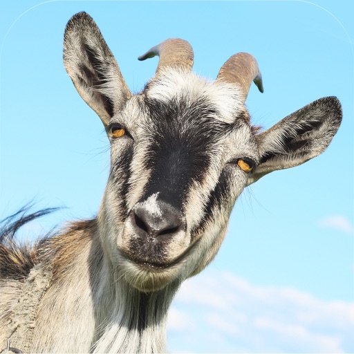 3D Goat Rescue Runner Simulator Game for Boys and Kids FREE app reviews download