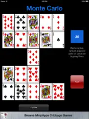 monte carlo classic solitaire ipad images 4