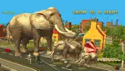 elephant simulator unlimited iphone images 2