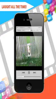 funny dog videos - funniest moments iphone resimleri 2