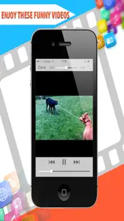 funny dog videos - funniest moments iphone resimleri 3