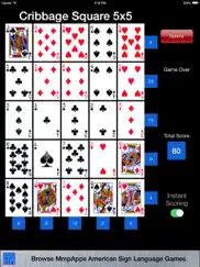 cribbage square - solitaire ipad images 2