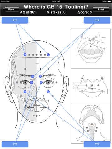 acupuncture points body quiz ipad images 4