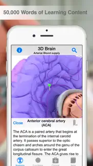 pocket brain iphone images 3