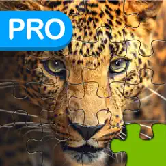 big cats puzzle pro - forge the jigsaw from unscrambled pieces logo, reviews