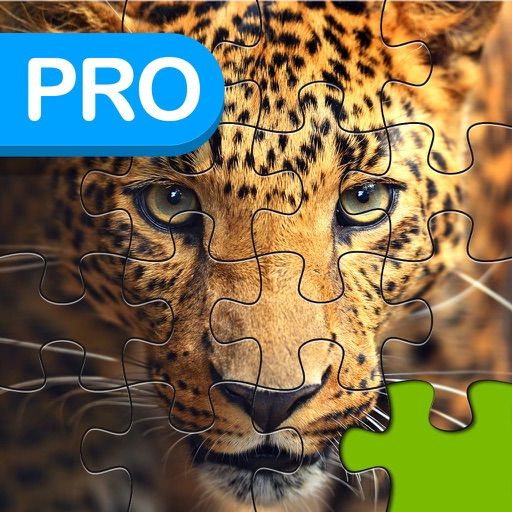 Big Cats Puzzle Pro - Forge The Jigsaw From Unscrambled Pieces app reviews download