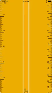 digital ruler - pocket measure iphone images 1