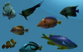 fishy3d tropical fish aquarium iphone images 1