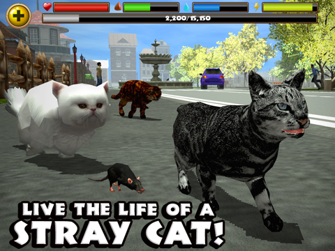 stray cat simulator ipad images 1